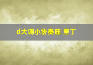 d大调小协奏曲 里丁